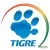 TIGRE TIGRE
